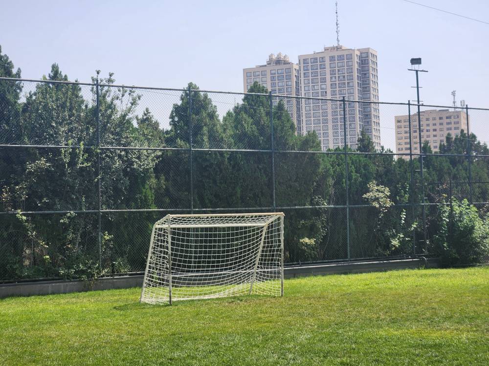 زمین چمن طبیعی